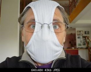 Swine_Flu_mask.jpg