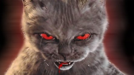 The Evil Cat.jpg The Evil Cat.jpg