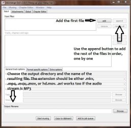 h264muxer.JPG h264muxer.JPG