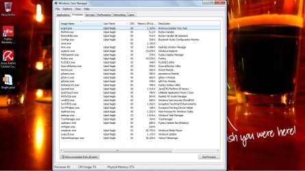 taskmanager.jpg