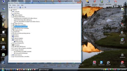 Vista.jpg