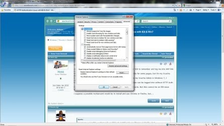 ie_options.jpg