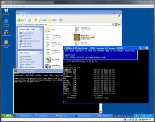 DOSBox-in-vmlite.jpg