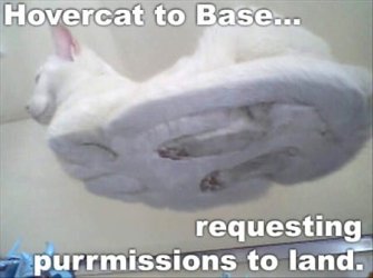 lolcatsdotcomoh5o6d9hdjcawys6.jpg