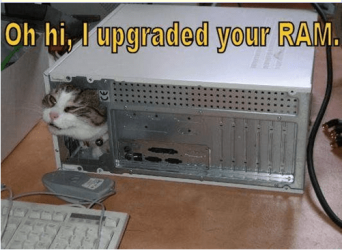 ken Kittybots..PNG