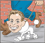 Blair Poodle.PNG Blair Poodle.PNG