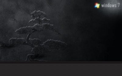 bonsai.jpg