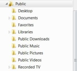 public.JPG