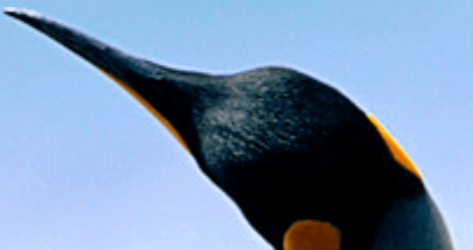 ams.PNG ams.PNG