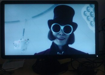DSC01081.JPG