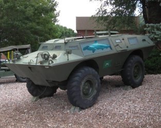 6169.jpg