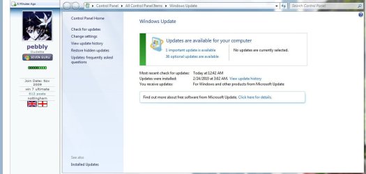 Windows_Update_Snip.JPG