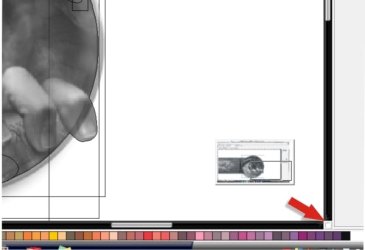 corel_pan.jpg