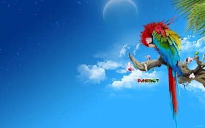The_Parrot_by_termapix.jpg