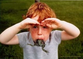Ribbit.jpeg