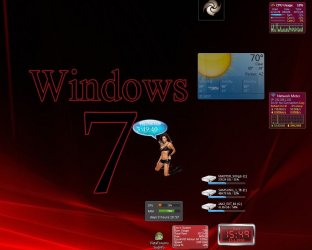 Gadget_snip_1_15_2010.JPG
