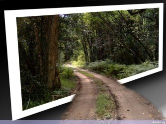 Road to the Future.jpg