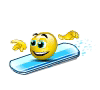 3dsurfeur.gif 3dsurfeur.gif