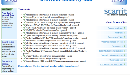 IE8 results.png