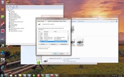 rsz_quickbookssnapshot.bmp.jpg