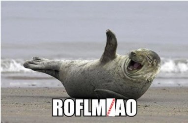ROFLMCAO.jpeg
