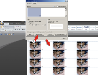 labels3.png