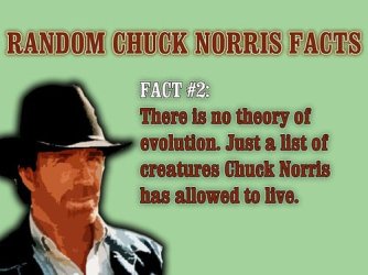 8de6c_chuck-norris-evolution.jpg 8de6c_chuck-norris-evolution.jpg