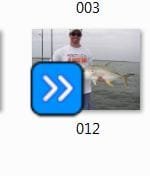 Capture.JPG