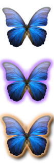 Butterfly.png
