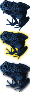 Test.png