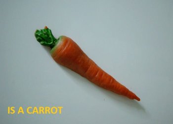 2564carrot.jpg