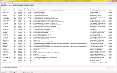 TaskMan Processes.png