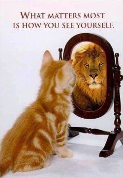 CatLion.jpg