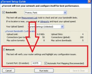 utorrent setup.PNG