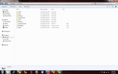 Pic inside Local Disk.jpg