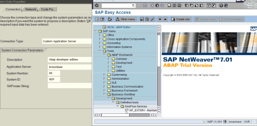 sap2.png