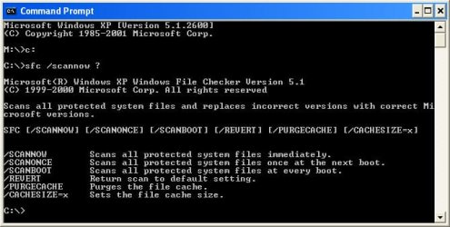 sfc.jpg