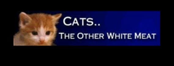 Cats.JPG Cats.JPG