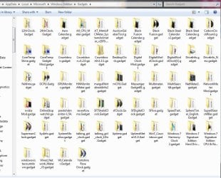 gadget_Folder_2-17_2010.JPG