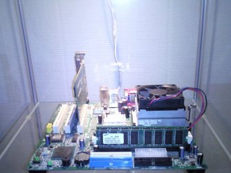 Billede0517.jpg