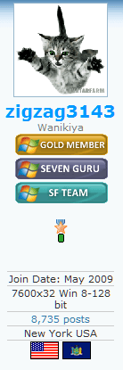 zigzag_first_medal.png