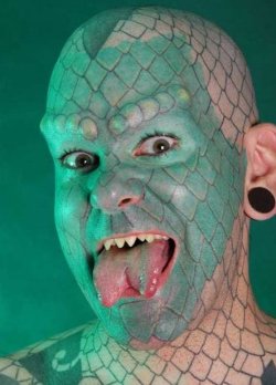Lizard.JPG Lizard.JPG