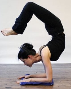scorpion.jpg