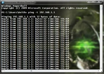 ping.JPG