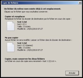 file_copy.jpg