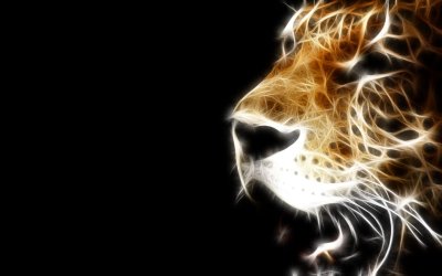 Leopard fractilus.jpg