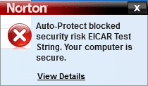 apn-1.png