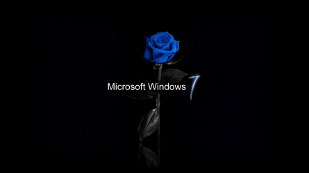 blue_rose_wall_7.png