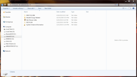 Disk G (showing Hidden folders and files) 4th May 2010.PNG