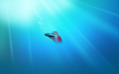 Windows_7_Beta_Fish_1920x1200.jpg Windows_7_Beta_Fish_1920x1200.jpg